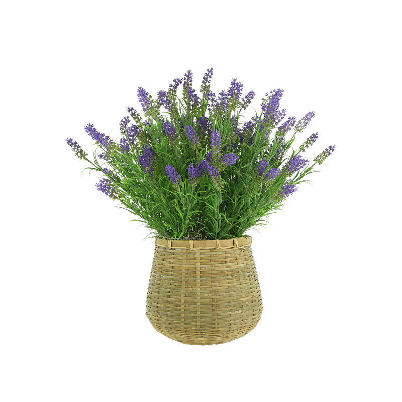 Outdoor UV-Rated Lavender in Basket Planter