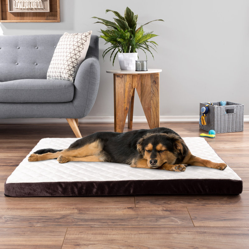 Orthopedic Polyester Pet Bed, 7cm H x 111.76cm W x 88.9cm D
