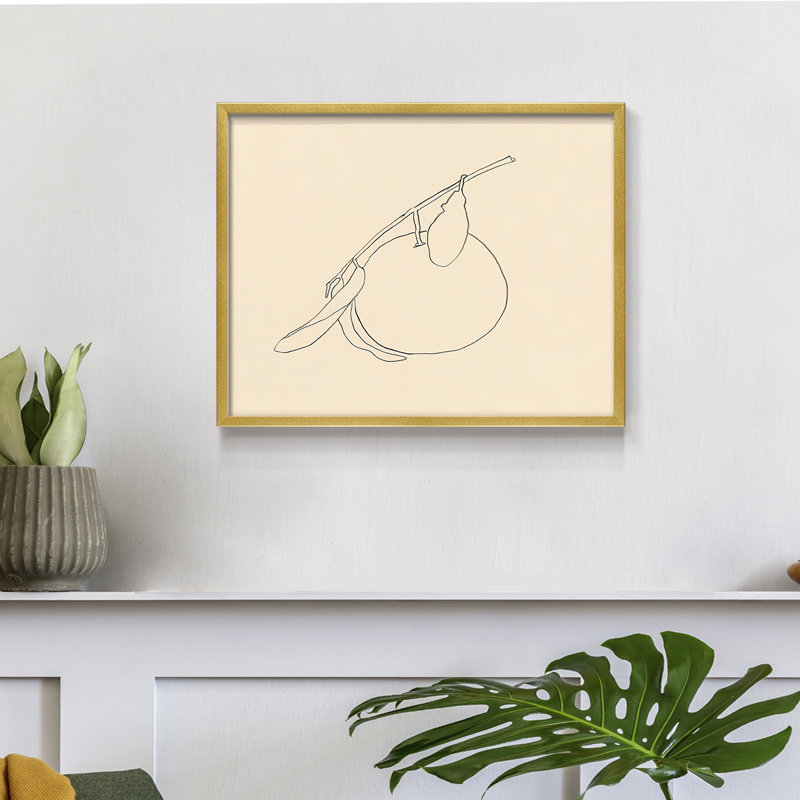 Citrus Contour II -Framed Print - Restickable, 22" H x 28" W