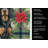 Gordon Setter Christmas PoinsettIas Kitchen Towel-2080583775