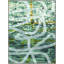 Through The Vines 2 Print by Thom Filicia