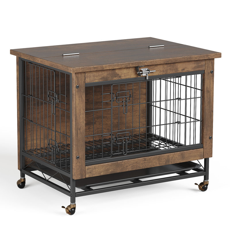 Dog House