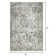 Raashid Oriental Indoor Rug