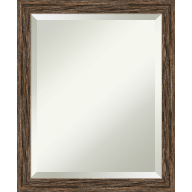 Miroir de salle de bain Dunaghy, 22,62 po x 18,62 po