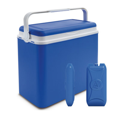Wayfair Basics™ 24L Handheld Cooler