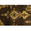 Tapis brun foncé traditionnel traditionnel 8X11
