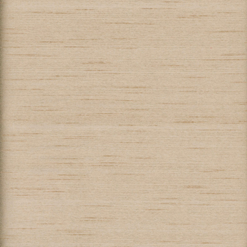 Tissu Ace, Lin
