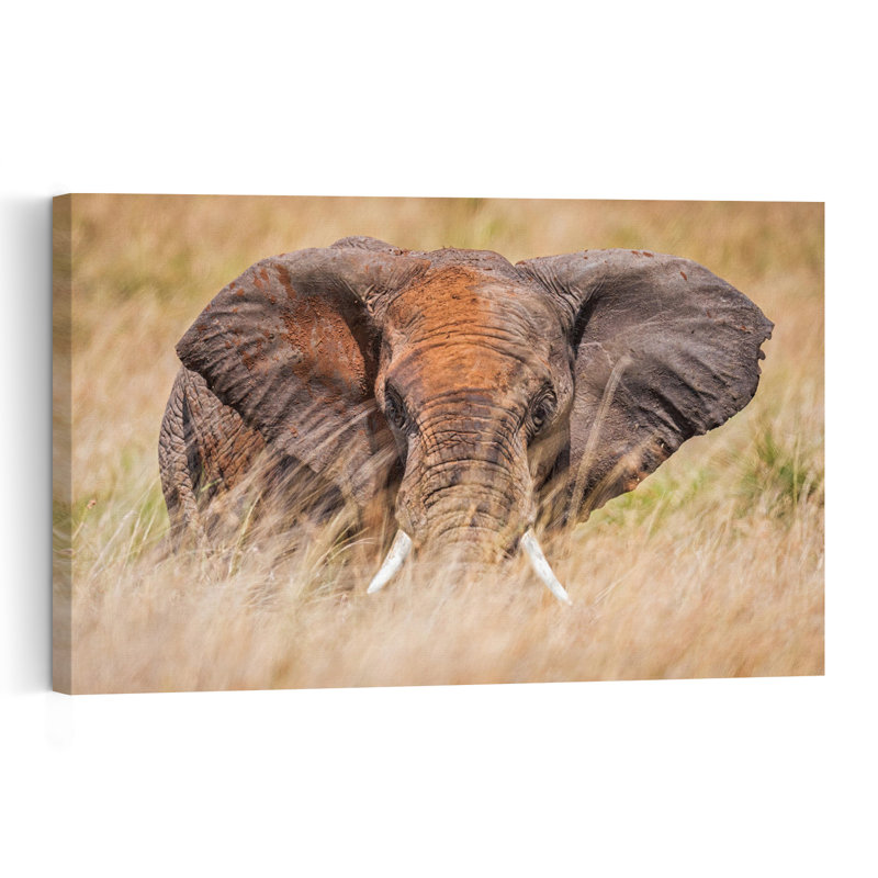 Majestic African Elephant Peaceful Contemporary Elephant Nature Portrait Wall Art Print by Jeffrey C. Sink - 1 Piece Wrapped Canvas Wall Art