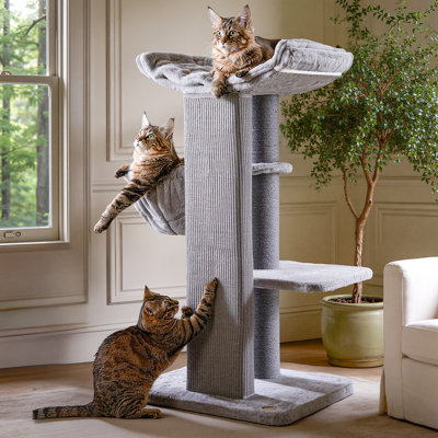 Arbre à chat H 44,5 po Modern