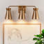 3 - Light Dimmable Vanity Light