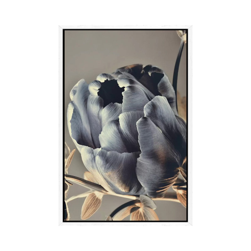 Baroque III 1 Piece Painting on Canvas, 101.6cm H x 66.04cm W x 3.81cm D, White Framed