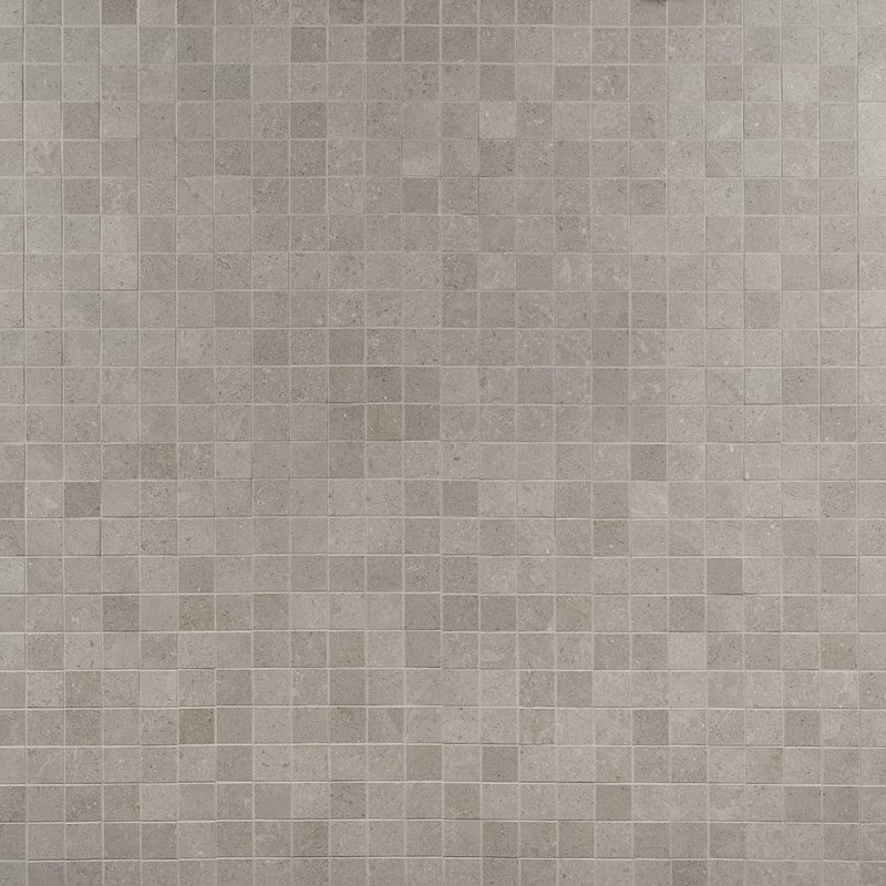 New Rock 2X2 Matte Porcelain Mosaic, Fumo Light Gray