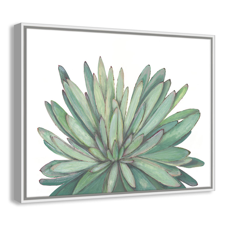 «Succulent - Floater Frame», reproduction d'art sur toile, H 22 po x l 28 po x P 2 po, Cadre blanc