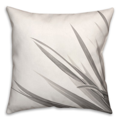 Coussin Succulent Crop