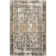 Aagna Distressed Medallion Power Loom Performance Brown/Gray/Ivory Rug
