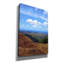 «Waimea View» par Nicole Dell, art mural sur toile-1346801984