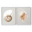 Nautilus - reproduction encadrée de qualité supérieure - prête à être accrochée - aucun clou requis - aucun clou requis-79783357-79783353