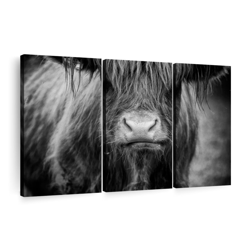 Vache Highland à poil long sur toile, 3 pièces, H 28 po x l 45 po x P 1,25 po