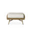 Essence Outdoor Ottoman-68900321-73921844