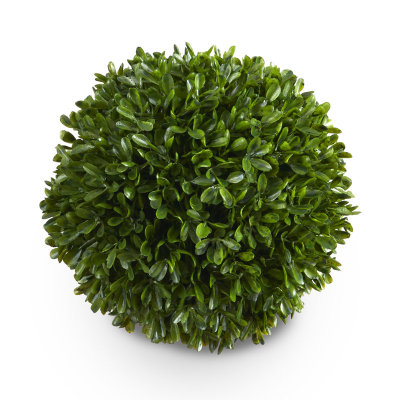 Nigel 6.5'' Boxwood Topiary