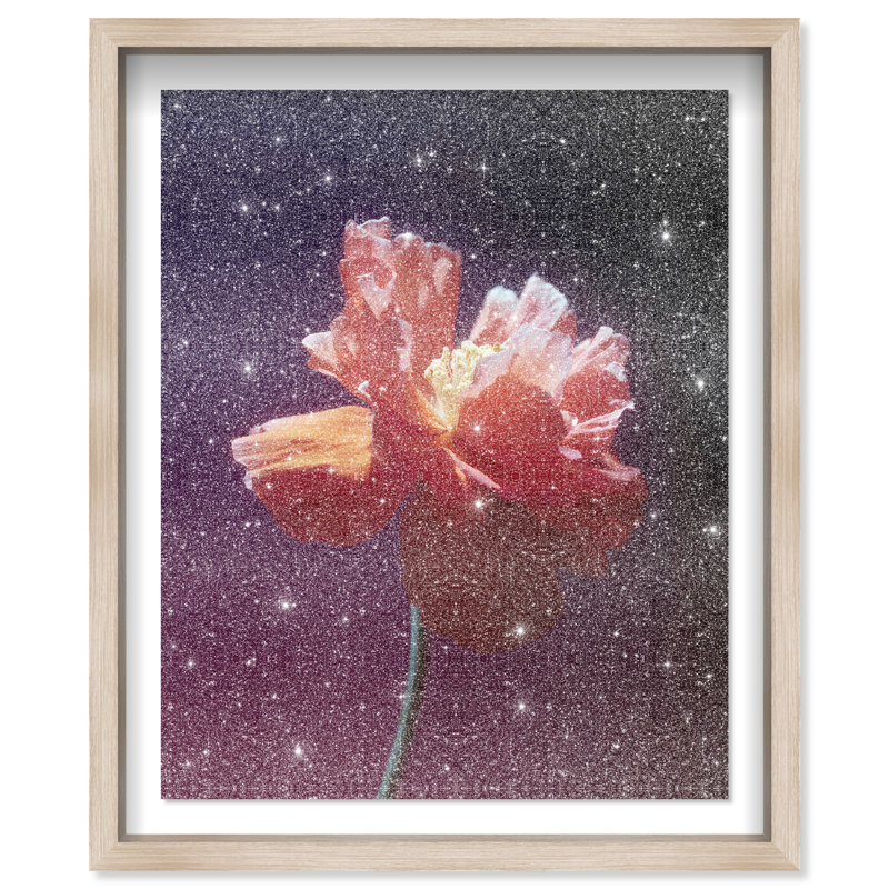 Taffeta Twilight II Framed Graphic Art, 31.5"H x 25.5"W, Natural Oak Shadowbox