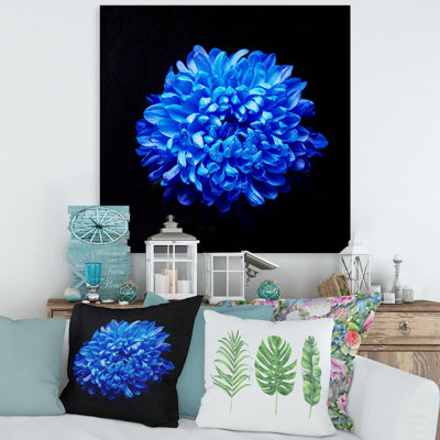 Aster bleu avec gouttes de rosée - photographie sur toile