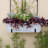 Norela Metal Window Box Planter-1699741360