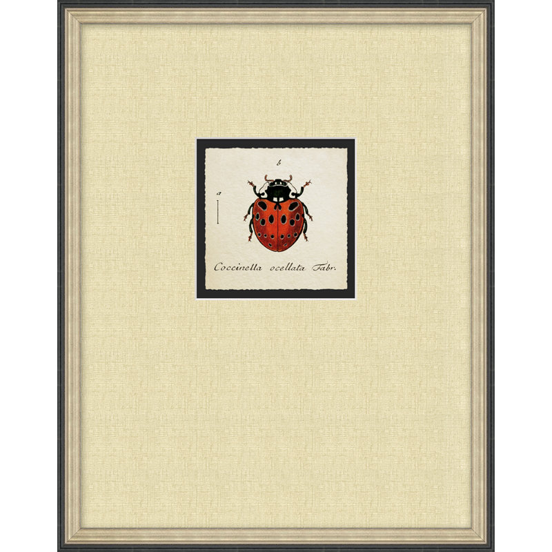 Lady Bug 1 Print