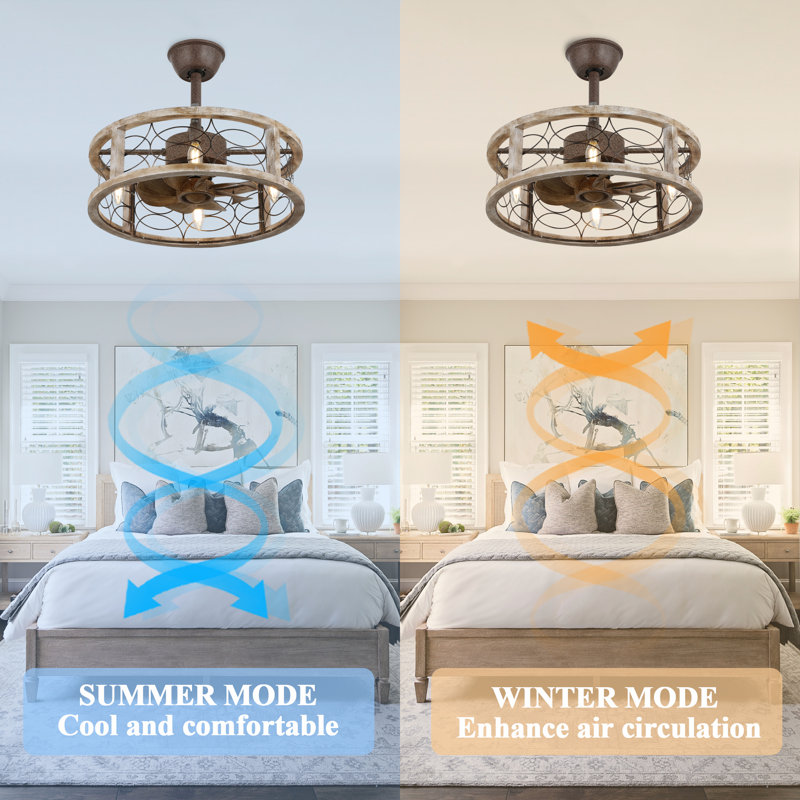 Colp 18'' Classic Farmhouse Caged Ceiling Fan with Lights, Rustic Bladeless Fandelier Reversible Ceiling Fan