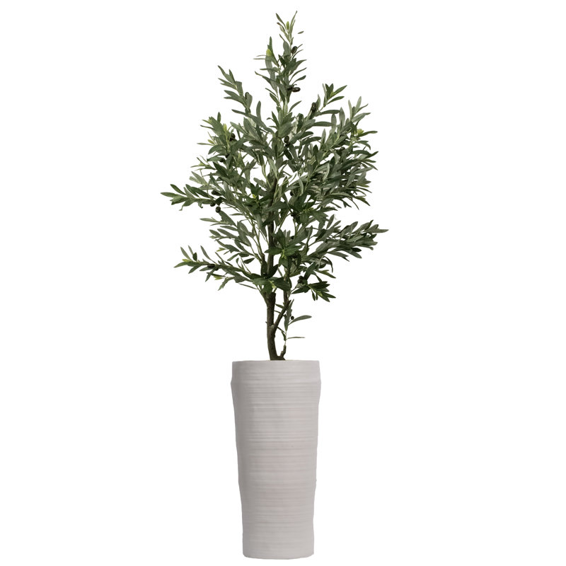 81'' Faux Olive Plant Plant in Fiberstone Planter