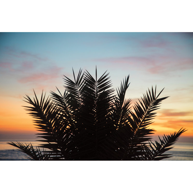 Sunset Palms II Crop by Laura Marshall - Wrapped Canvas Print, 30cm H x 46cm W x 3.8cm D