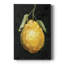 Citron foncé II - impression sur toile tendue-1278385414