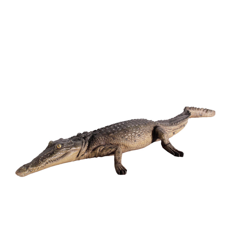 Crocodile de marche Boylon