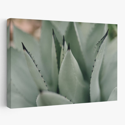 Plantes, fleurs, paysage, nature, somptueux art mural II