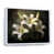Cadre flottant blanc