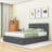 Evennie Queen Tufted Upholstered Storage Platform Bed-952850529