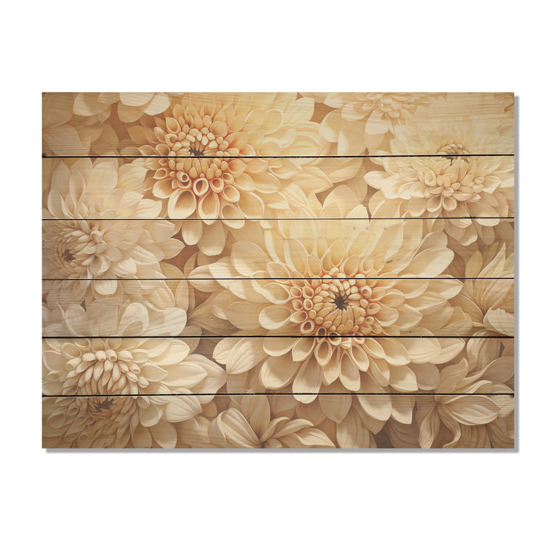 Pure White Chrysanthemums Magic I - Chrysanthemums Wood Wall Art On Natural Pine Wood, 10" H x 20" W
