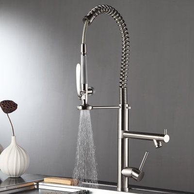Fapully Pull Down Kitchen Faucet