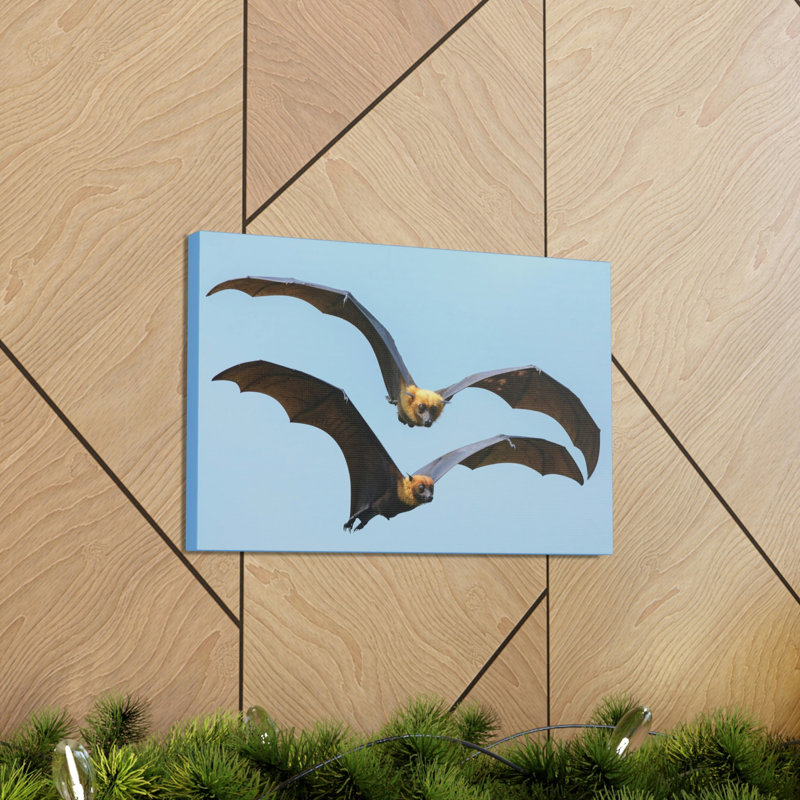 «Vampire Bat Couple», art mural animalier, H 11 po x l 14 po