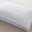 Coussin-500295656