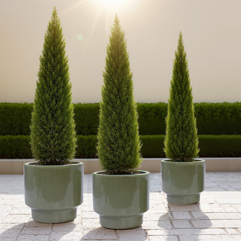15" Outdoor Indoor Ceramic Pot Planter Decorative Planter with Drainage Hole Modern Patio Flower Pot for Garden Living Room Set of 3