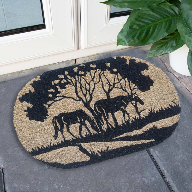 Tapis pour porte d'extérieur antidérapant 24 po x 16 po