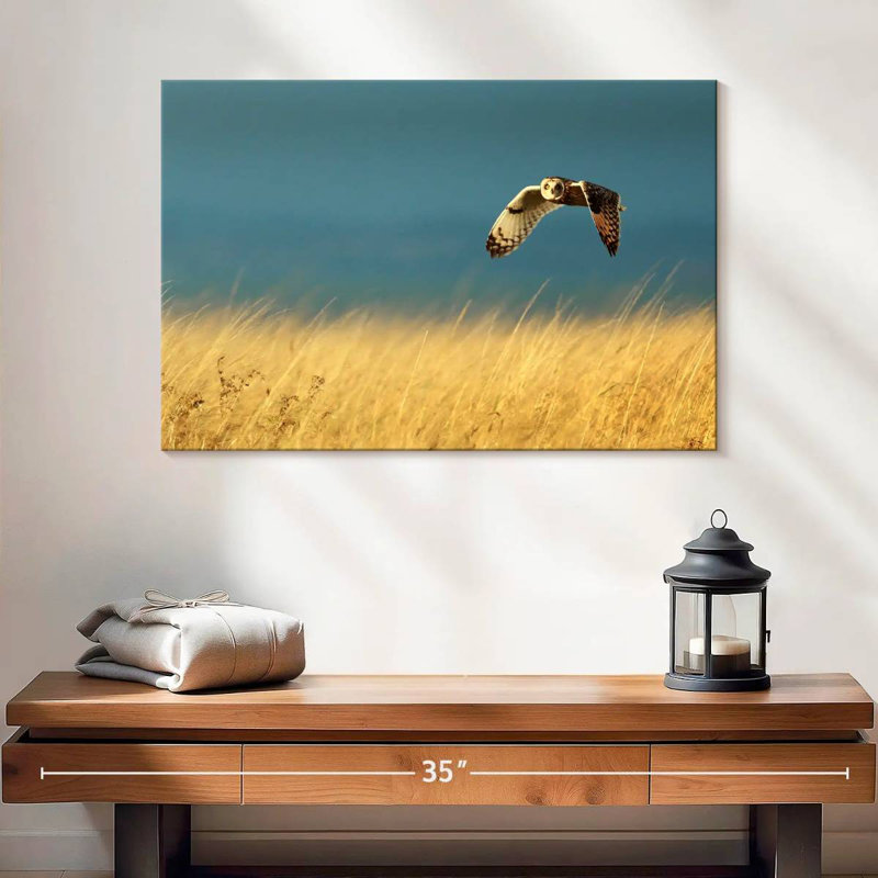 Owl In Flight, 16" H x 24" W