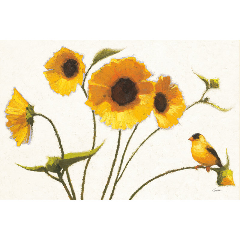 Fleurs ensoleillées sur fond blanc, H 32 po x l 48 po