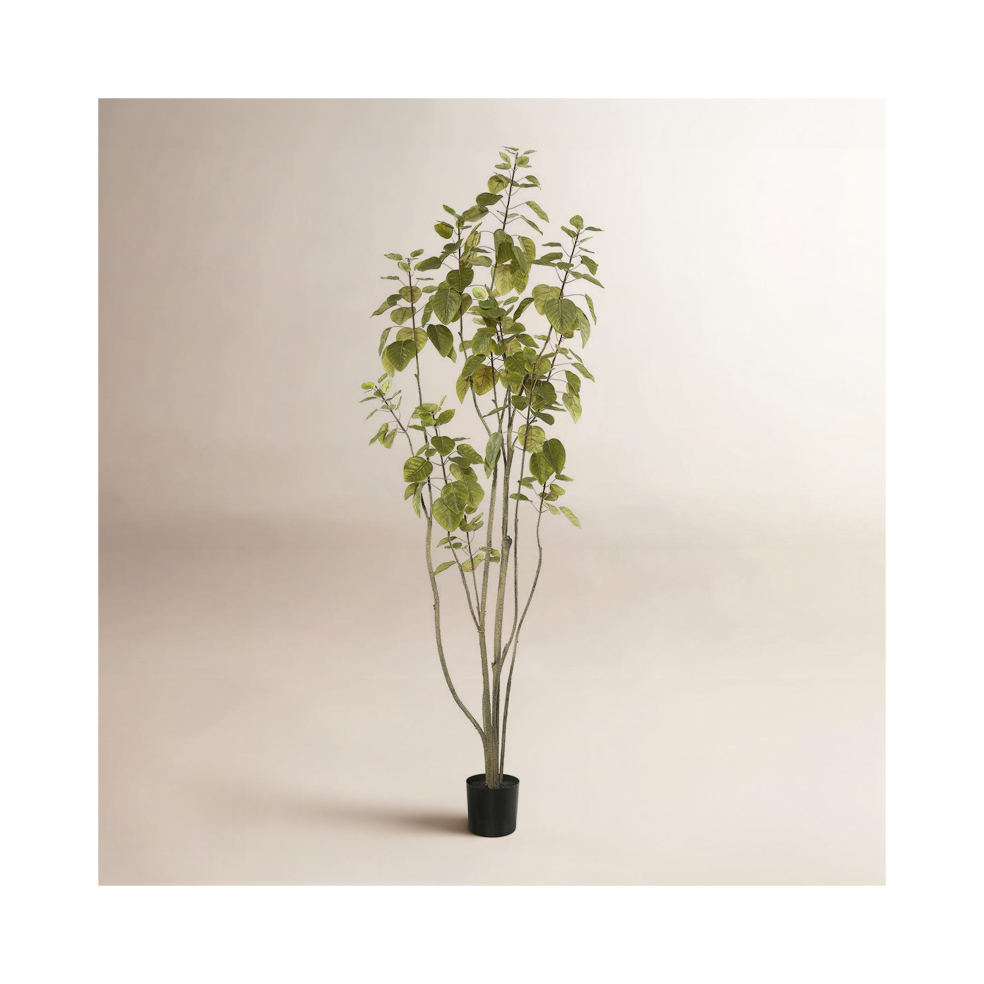 Artificial Green Potted Cotinus Coggygria Tree, 72" H x 29" W x 29" D
