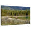 Élan du lac Alvord Annette-111859223