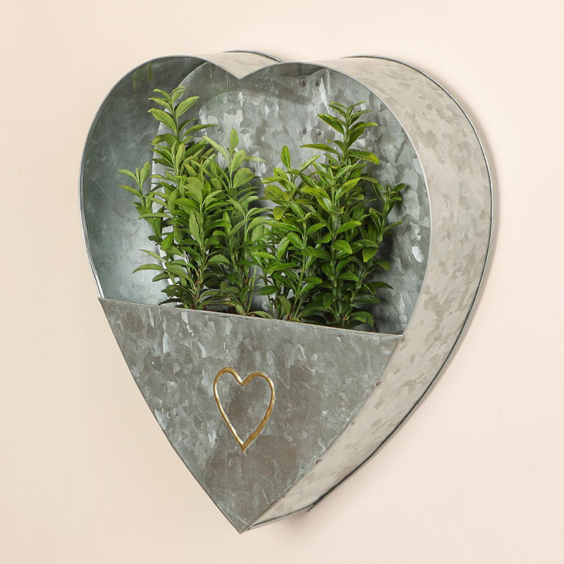 Cranon Metal Wall Planter