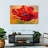Delicate Red Poppy-1564655921