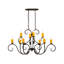 Zenaide 10 - Light Chandelier