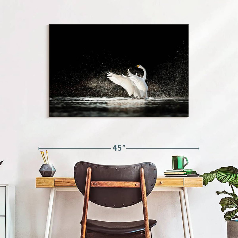 Brampt Swan Splashing Water